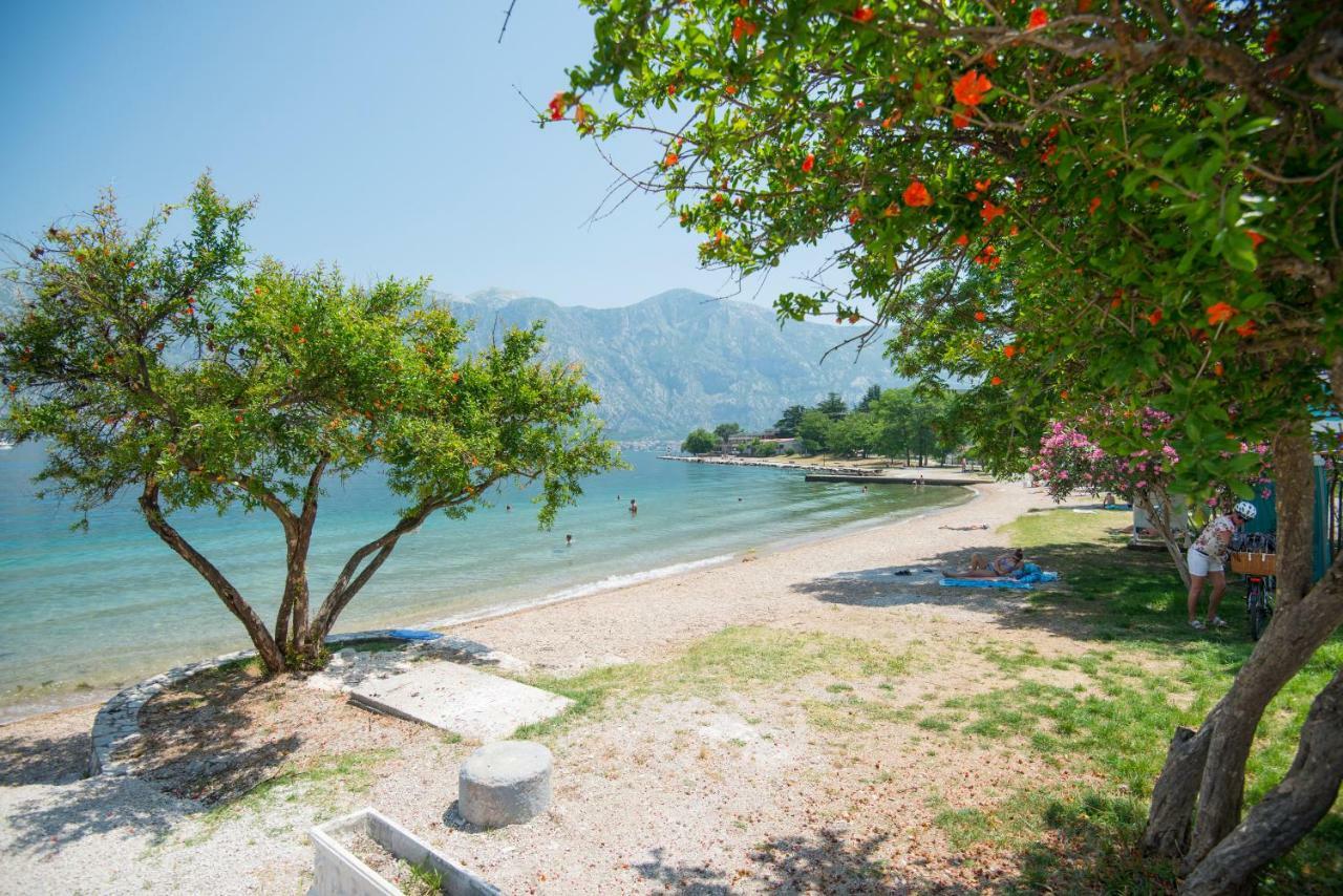 Villa Milami Kotor Exterior photo